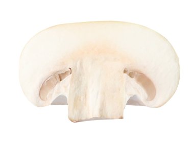 Beyaz arka planda taze mantar parçası