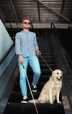 Yürüyen merdiven kapalı uzun kamışı ve kılavuz köpek ile kör kişi