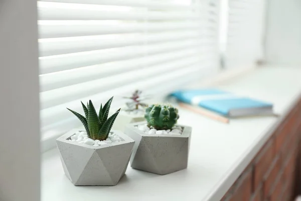 Fenêtre avec stores et plantes en pot sur le rebord, espace pour le texte — Photo