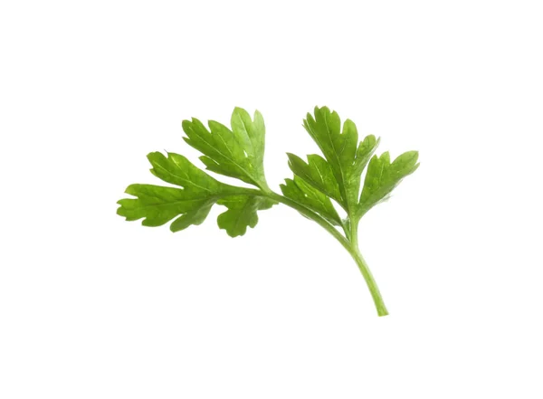 Leaves of fresh tasty parsley on white background — Stock Photo, Image