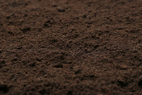 Textured ground surface as background, closeup. Fertile soil — Stock Photo, Image