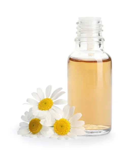 Flores de camomila e garrafa cosmética de óleo essencial sobre fundo branco — Fotografia de Stock