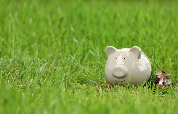 Cute piggy bank and jar with coins on green grass in park. Space for text