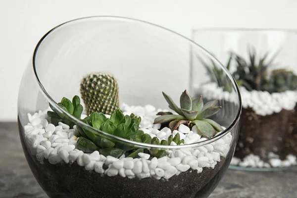 Florarium en verre avec différents succulents sur la table, gros plan. Espace pour le texte — Photo