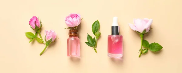 Fiori freschi e bottiglie di olio essenziale di rosa su sfondo di colore, posa piatta — Foto Stock