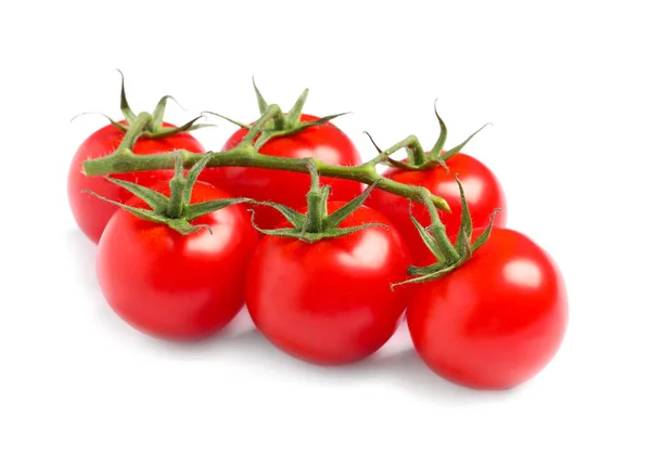 흰 위에 분리되어 있는 싱싱 한 체리 토마토 가지 — 스톡 사진