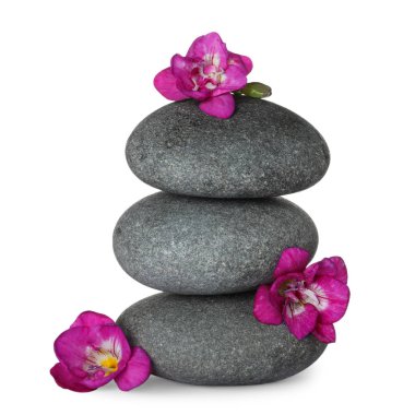 Gri spa taşları ve beyaz izole taze çiçek yığını