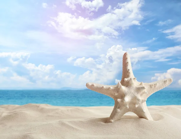 Estrella de mar en la playa de arena cerca del mar, espacio para el texto — Foto de Stock
