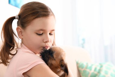Evde komik Brüksel Griffon köpek ile sevimli kız Portresi, metin için yer. Sadık arkadaşlar