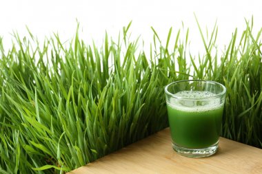 Glass of juice on table and fresh wheat grass against white background. Space for text clipart