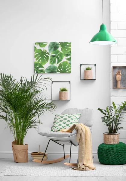 Стильный современный интерьер с экзотическими комнатными растениями — стоковое фото