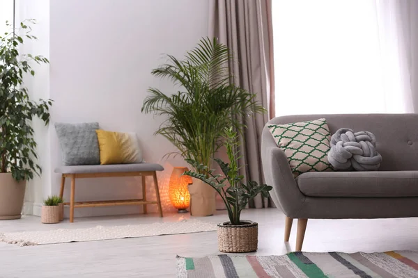 Elegante interior de habitación moderna con plantas de interior exóticas — Foto de Stock