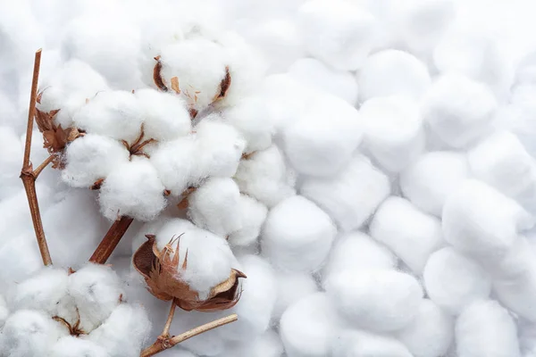 Tak met bloemen op schone katoenen ballen, Top uitzicht. Ruimte voor tekst — Stockfoto