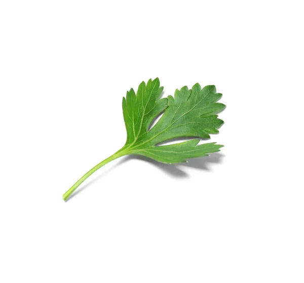 Salsa orgânica verde fresca sobre fundo branco — Fotografia de Stock