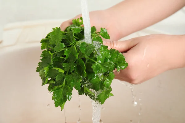 Woman washing bunch of fresh parsley under tap water in kitchen sink, closeup