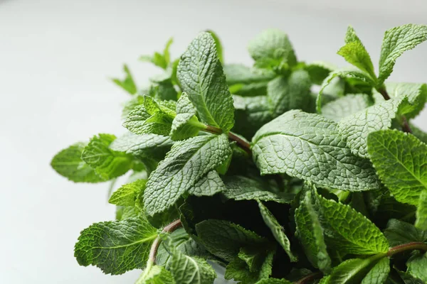 Fräsch grön mynta på ljus bakgrund, närbild — Stockfoto