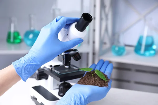 Wetenschapper onderzoekt groene plant met Microscoop in het laboratorium, close-up. Ruimte voor tekst — Stockfoto
