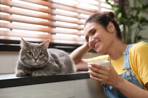 Young woman with cute cat at home. Pet and owner