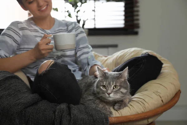 Молодая женщина с милым котом на кресле дома. Домашнее животное и владелец — стоковое фото