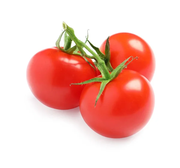 Tak van cherry tomaten geïsoleerd op wit — Stockfoto