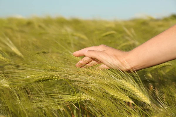 Vrouw in tarwe veld op zonnige zomerdag, close-up bij de hand. Geweldige natuur — Stockfoto