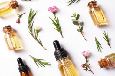 Flat lay composition with bottles of natural tea tree oil on white background clipart