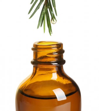 Dripping natural essential oil from tea tree branch into bottle on white background clipart