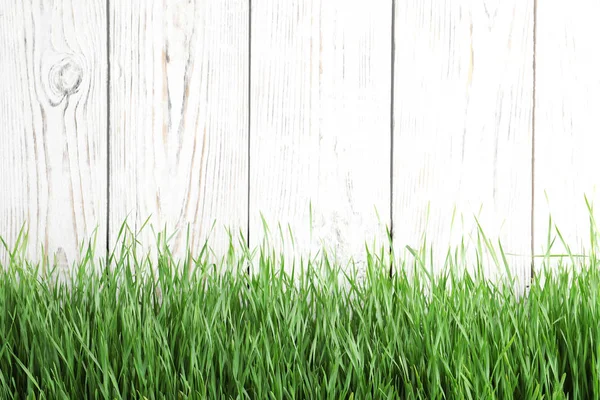 Świeża zielona trawa w pobliżu białego drewnianego ogrodzenia. Miejsce na tekst — Zdjęcie stockowe