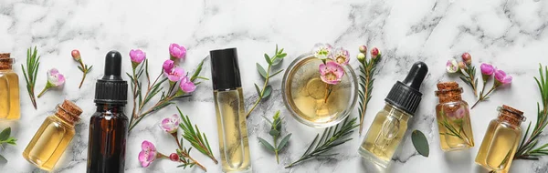 Flat lay composition with bottles of natural tea tree oil and space for text on white marble background — Stock Photo, Image