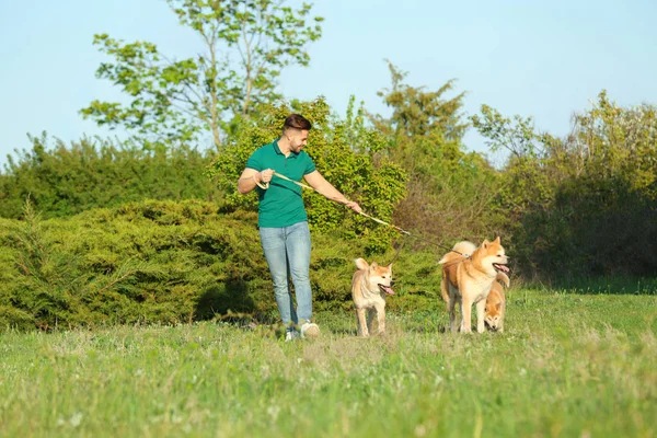 Młody człowiek chodzenie jego godny podziwu Akita Inu psy w Park — Zdjęcie stockowe