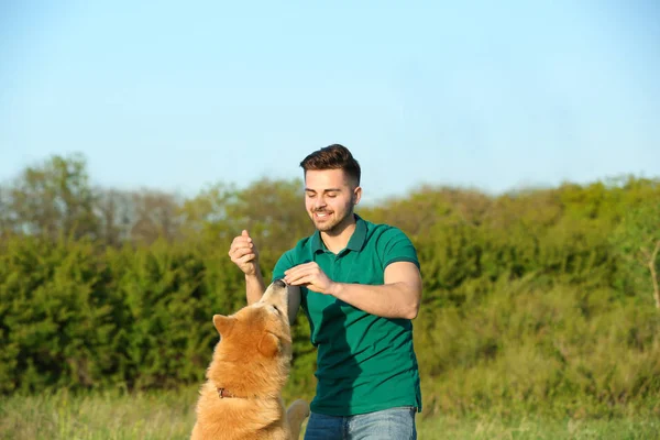 Молодой человек играет с очаровательной собакой Акита Ину в парке — стоковое фото