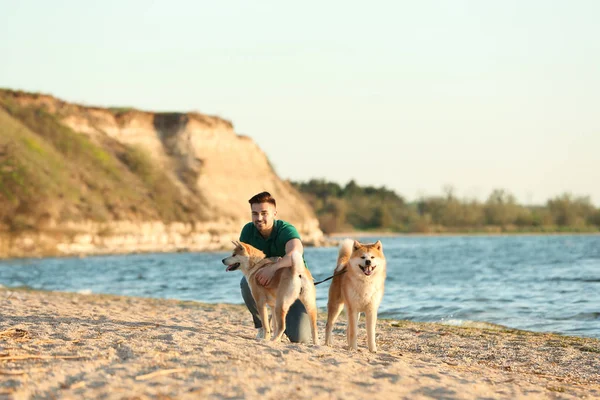 Młody człowiek chodzenie jego godny podziwu Akita Inu psy w pobliżu rzeka — Zdjęcie stockowe