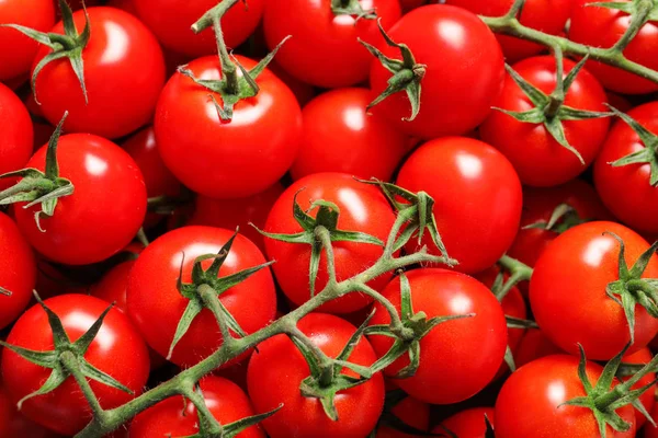 Tomates cereja orgânicos frescos como fundo, close-up — Fotografia de Stock