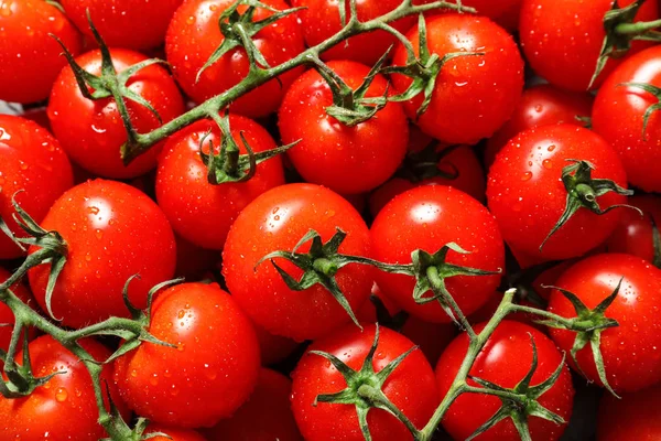 Deliciosos tomates cereja maduros com gotas de água como fundo, vista acima — Fotografia de Stock