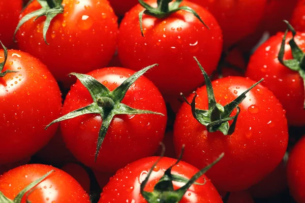 Görünümün üzerinde, arka plan olarak su damlaları ile Lezzetli olgun kiraz domates — Stok fotoğraf