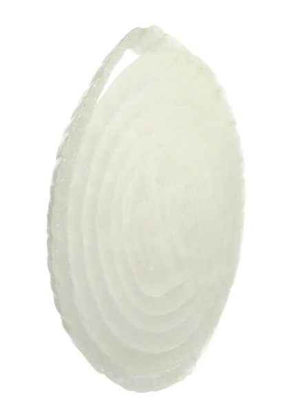Fatia de cebola fresca no fundo branco — Fotografia de Stock