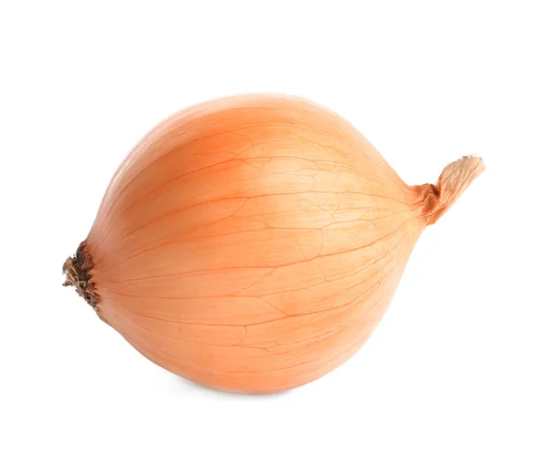 Fresh ripe onion bulb on white background — Stock Photo, Image