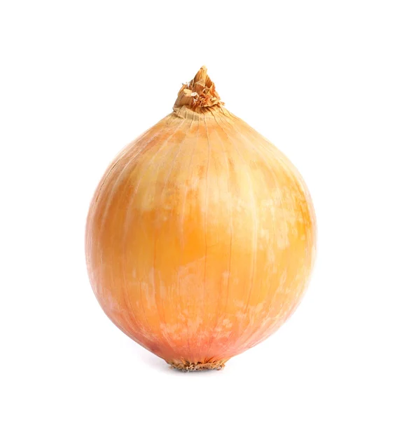 Fresh ripe onion bulb on white background — Stock Photo, Image