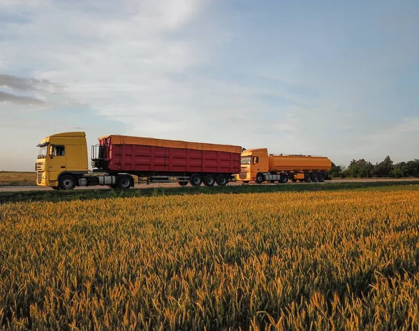Caminhões modernos brilhantes na estrada perto do campo de trigo — Fotografia de Stock