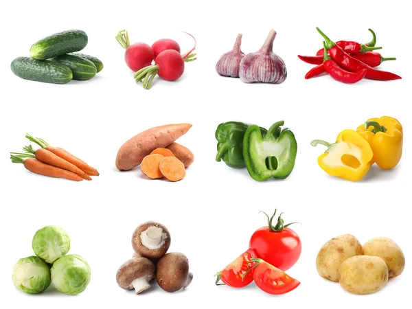Uppsättning av olika färska grönsaker på vit bakgrund — Stockfoto