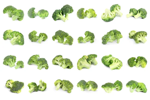 Set van verse groene broccoli op witte achtergrond — Stockfoto