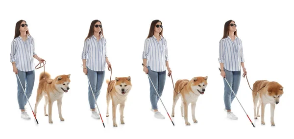 Set de mujer ciega con bastón largo y perro sobre fondo blanco — Foto de Stock