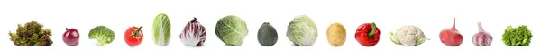 Conjunto de diferentes verduras orgánicas sobre fondo blanco. Diseño de banner — Foto de Stock