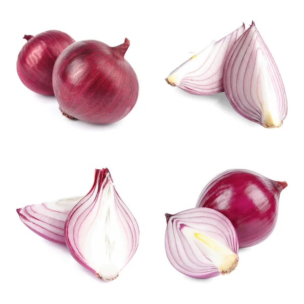 Set of fresh red onions on white background — Stock Photo, Image