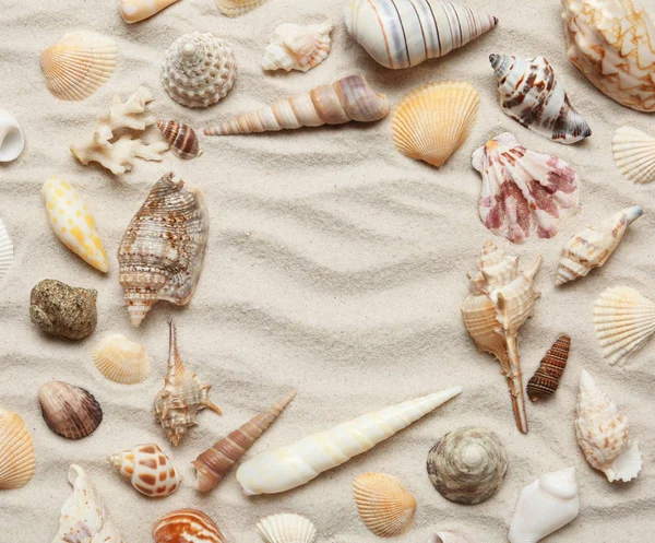 Frame made of different seashells on sand, top view. Space for text — Stock Photo, Image