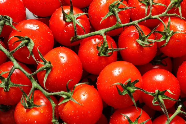 Heerlijke rijpe cherry tomaten met water druppels als achtergrond, boven uitzicht — Stockfoto