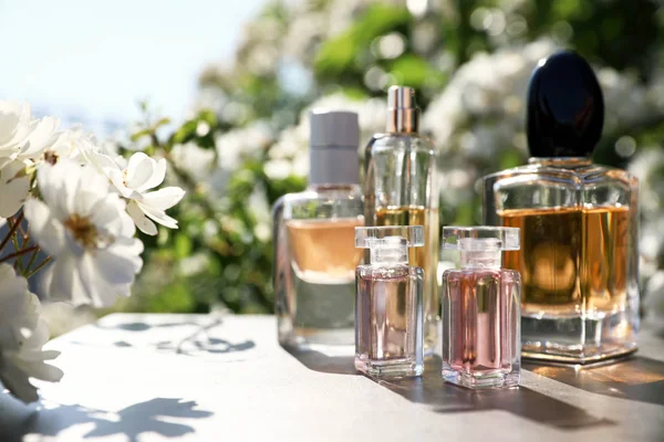 Bottles with luxury perfumes on table in garden, space for text — Stock Photo, Image