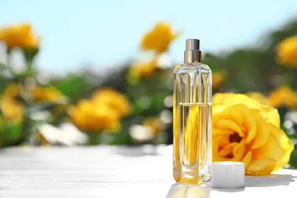 Butelka luksusowych perfum wśród pięknych róż w kwitnącym ogrodzie, miejsce na tekst — Zdjęcie stockowe