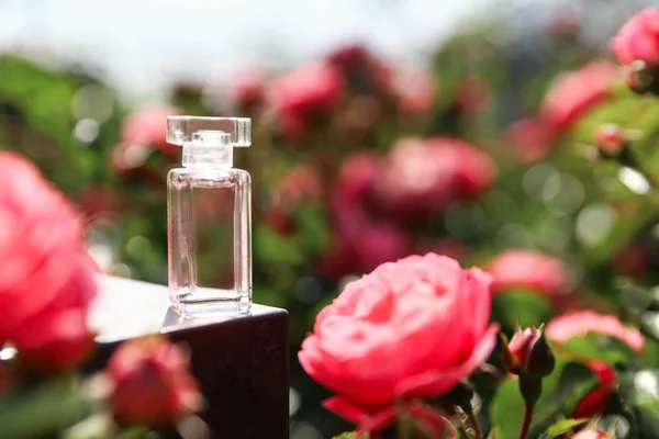 Flasche Rosenparfüm auf dem Tisch inmitten schöner Blumen im blühenden Garten, Platz für Text — Stockfoto
