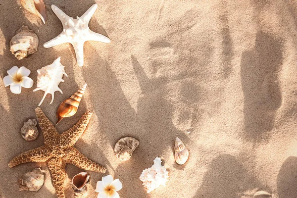 Composición plana con estrellas de mar y conchas en la playa de arena. Espacio para texto — Foto de Stock